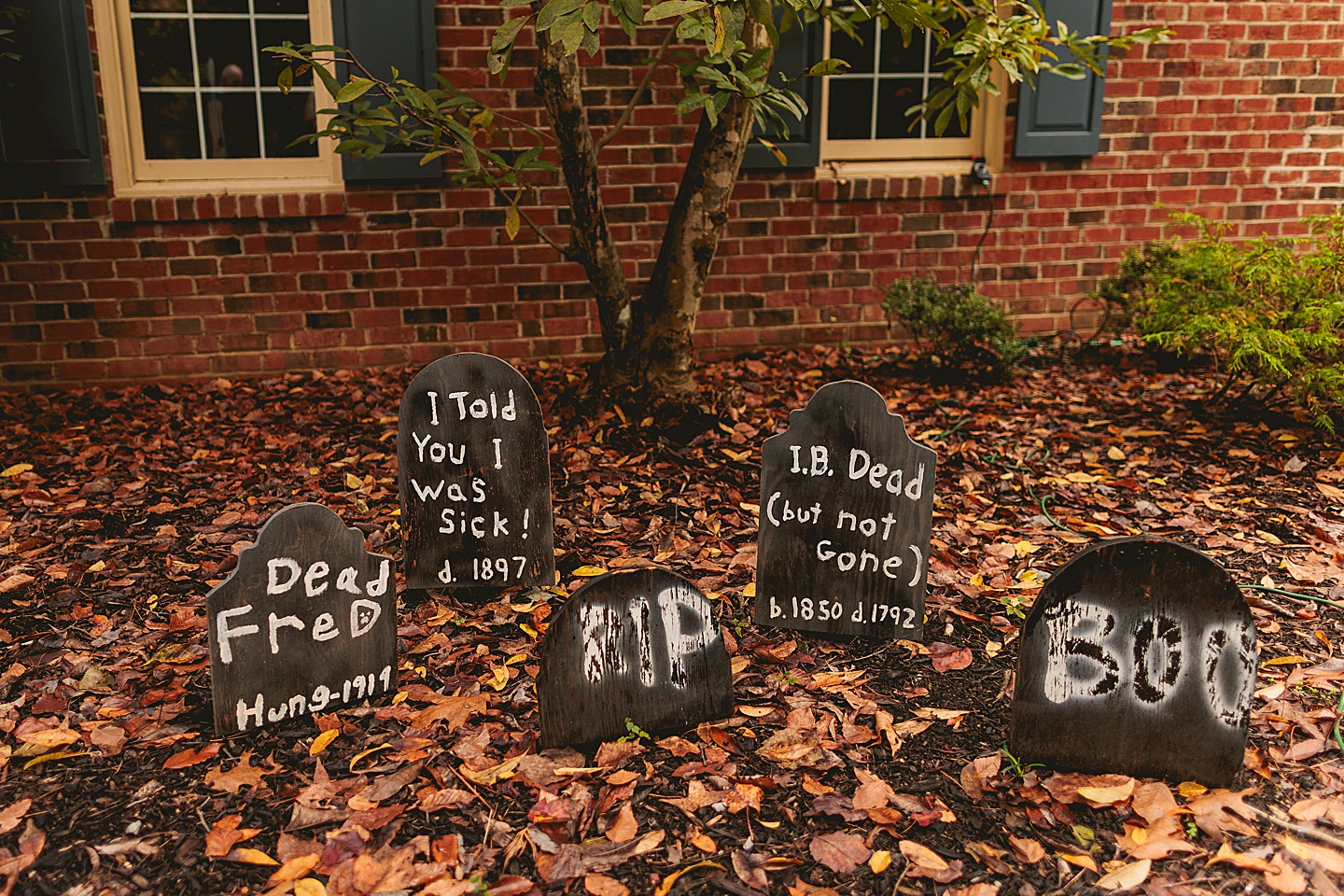 Family Photographer - Barbara + Gordon // Large Group Family Photos