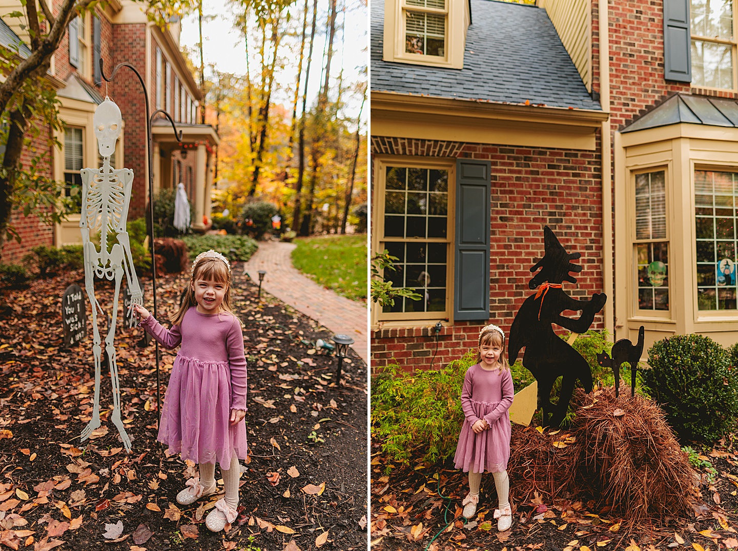 Family Photographer - Barbara + Gordon // Large Group Family Photos