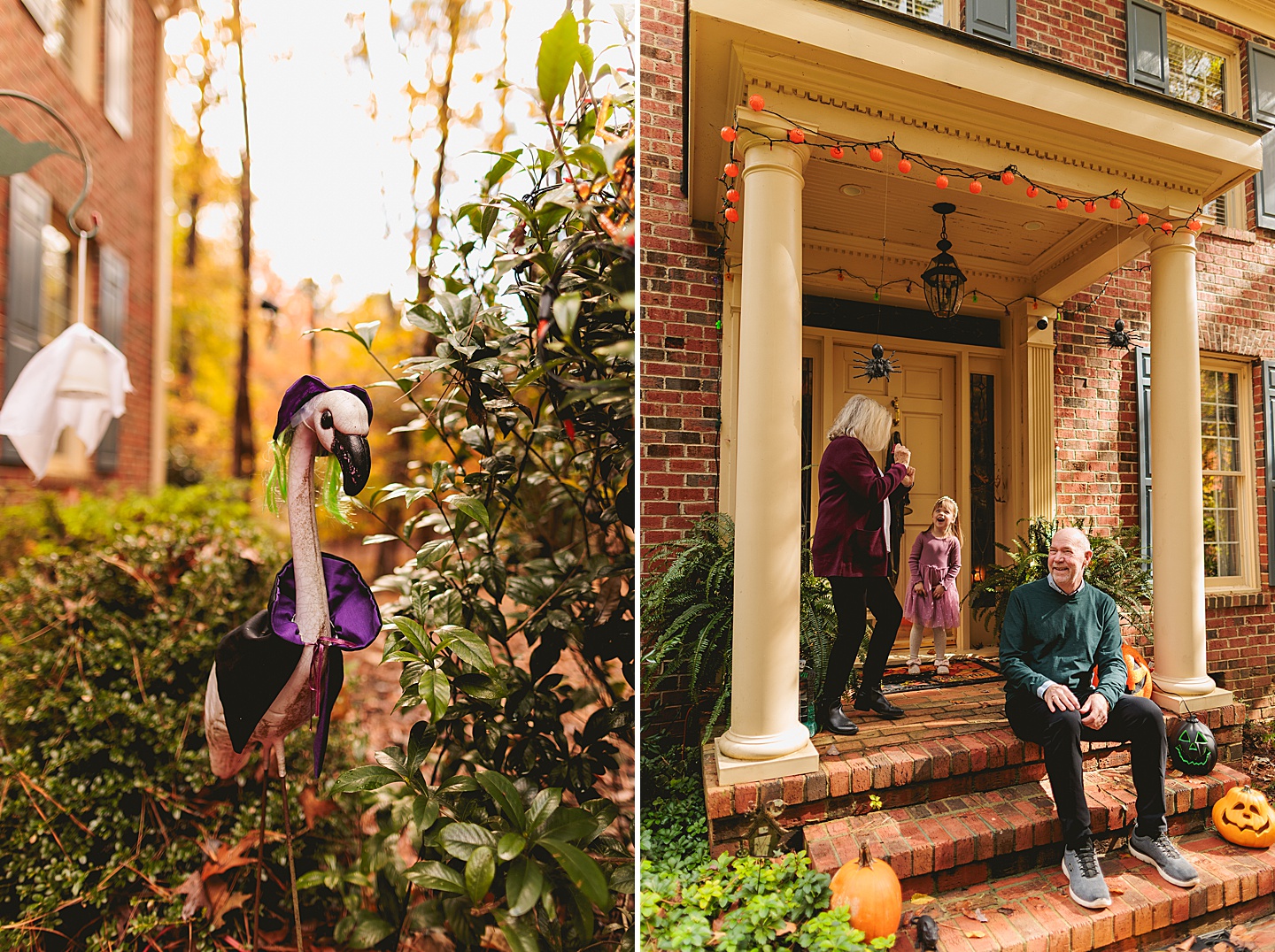 Family Photographer - Barbara + Gordon // Large Group Family Photos