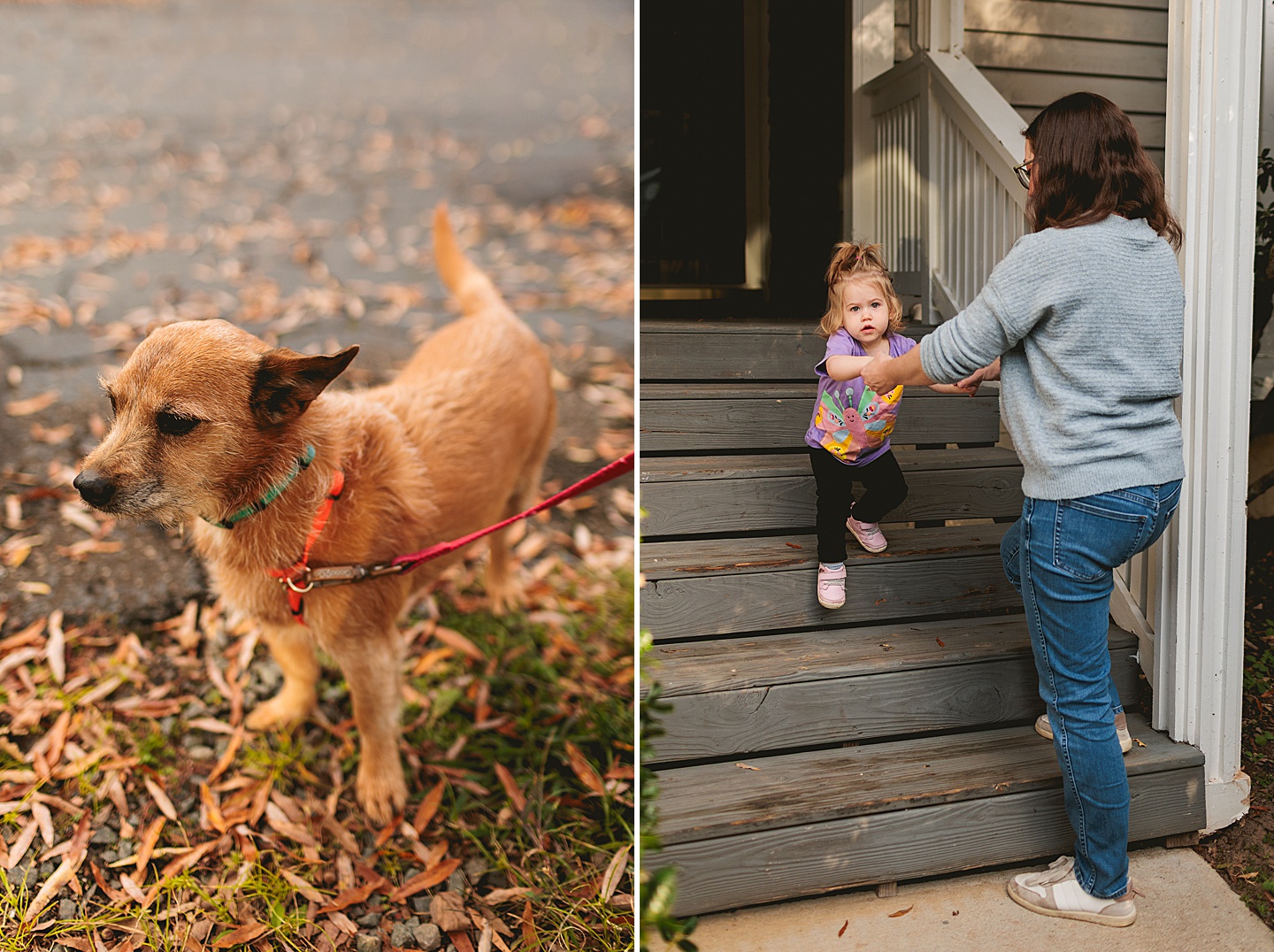 Family Photographer - James + Emily // Chapel Hill Family Photographer