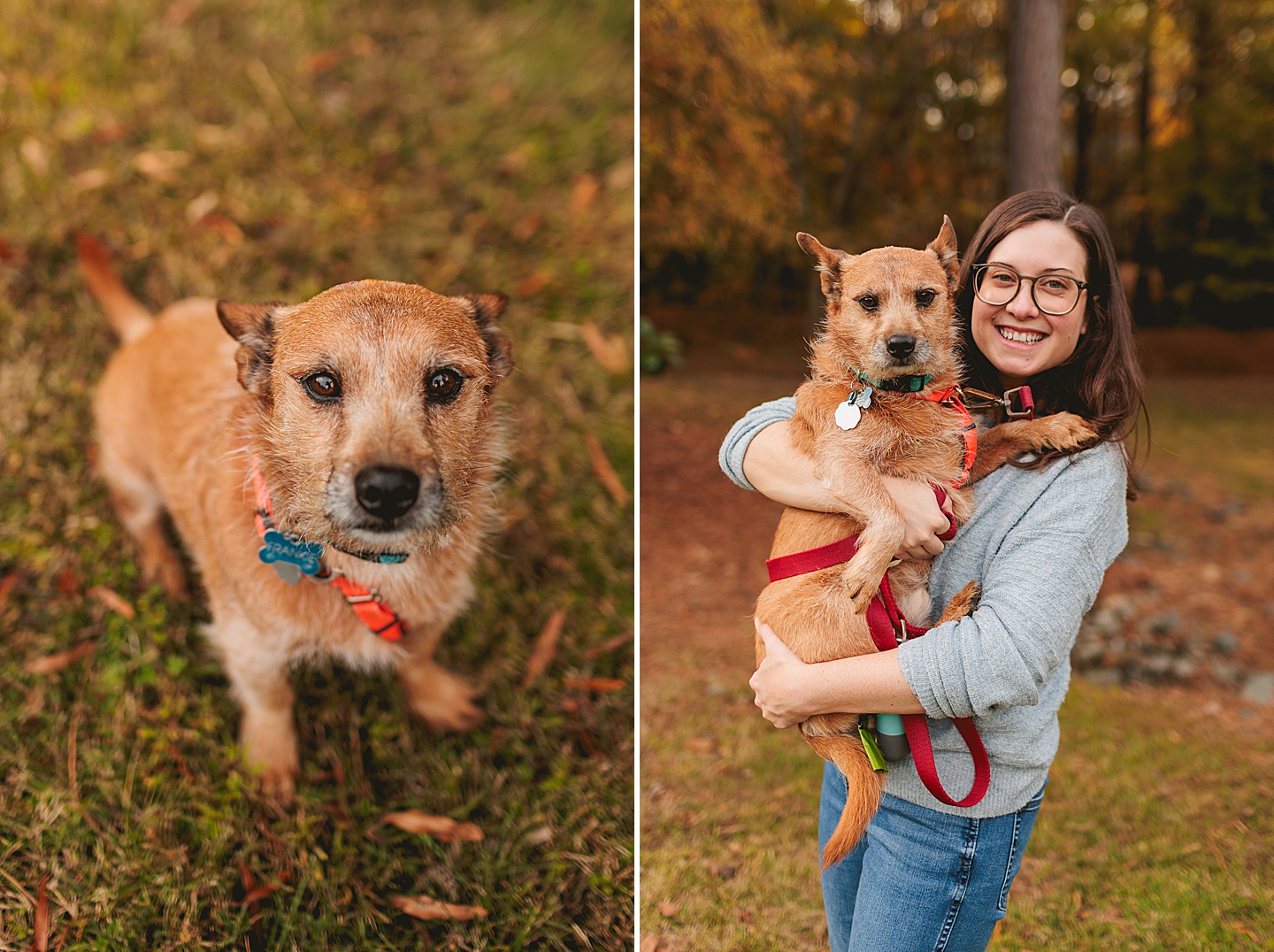 Family Photographer - James + Emily // Chapel Hill Family Photographer