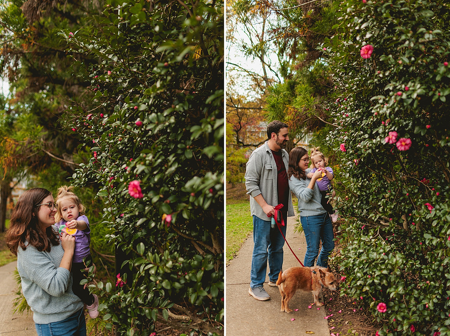 Family Photographer - James + Emily // Chapel Hill Family Photographer