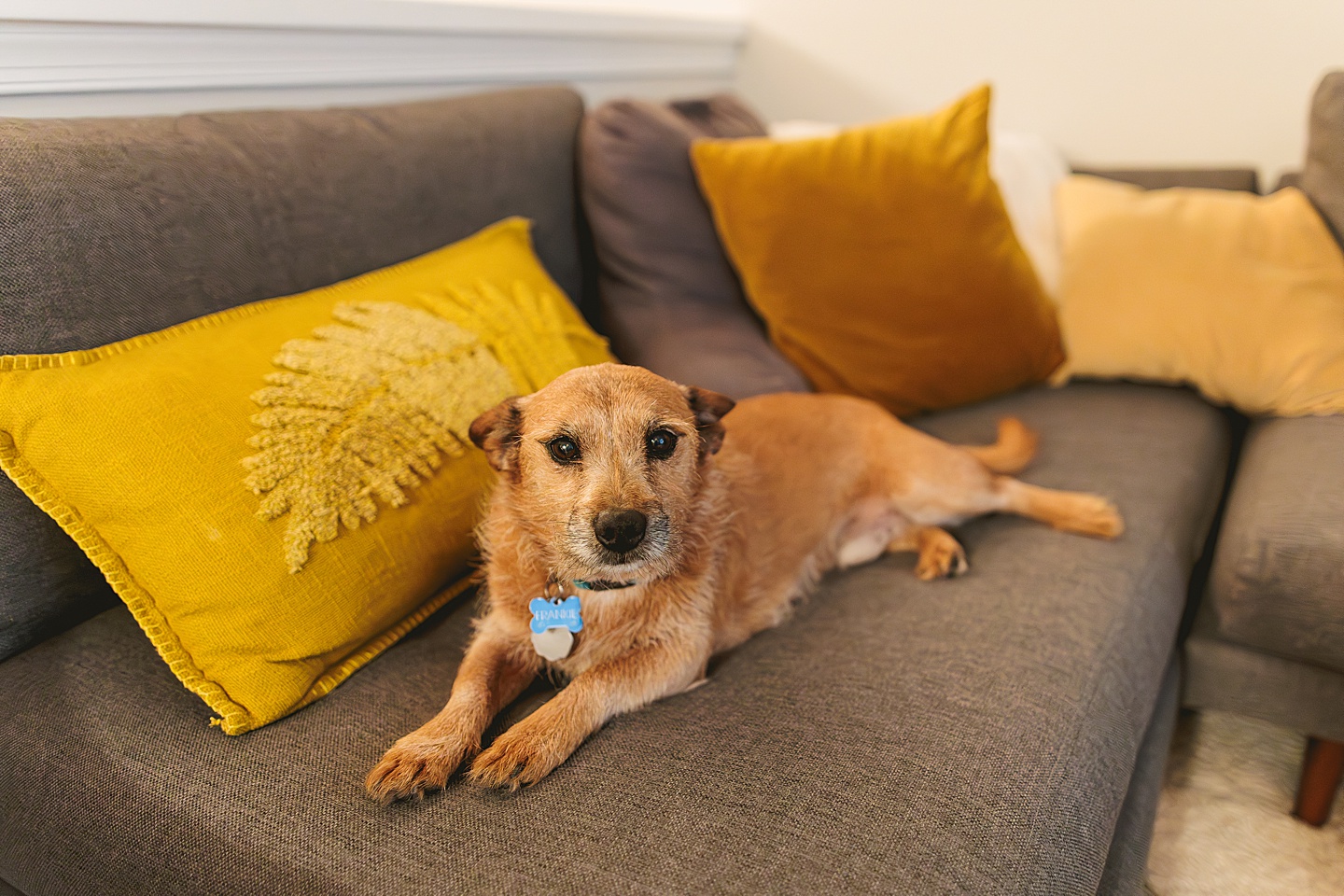 Family Photographer - James + Emily // Chapel Hill Family Photographer