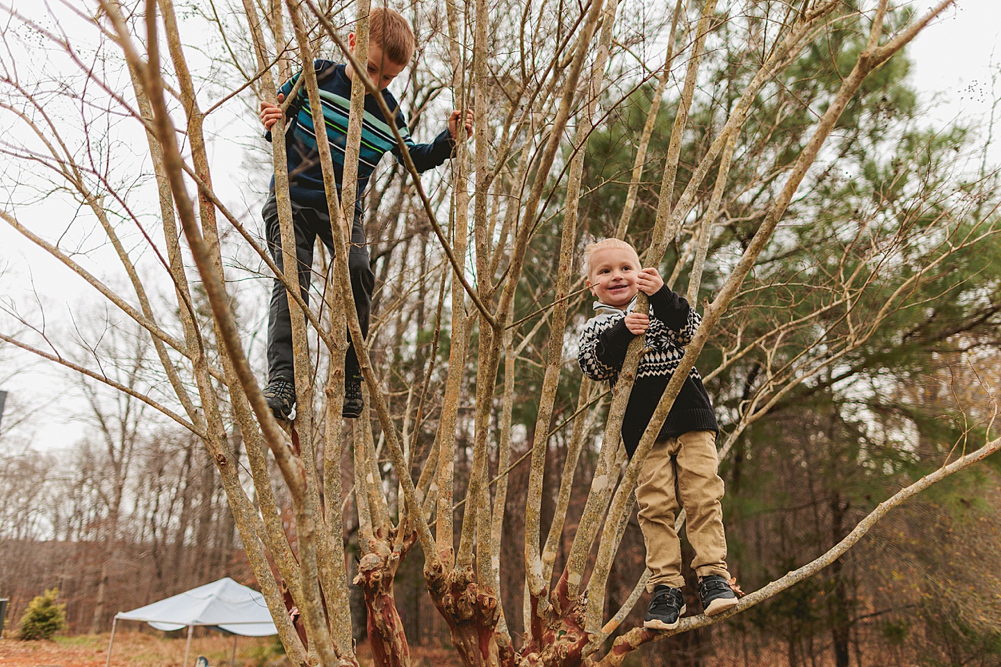 Family Photographer - Allison + Nathaniel // At Home Portraits