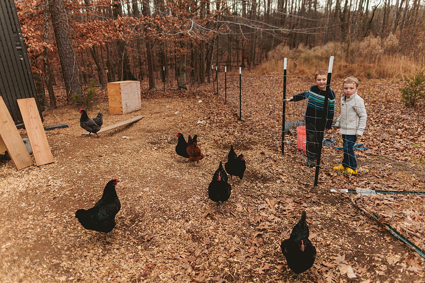 Family Photographer - Allison + Nathaniel // At Home Portraits