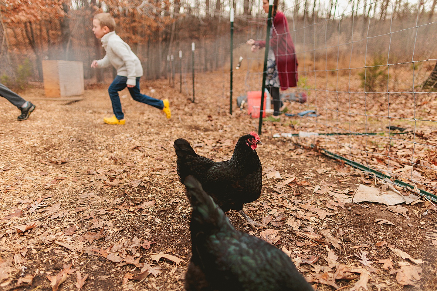 Family Photographer - Allison + Nathaniel // At Home Portraits