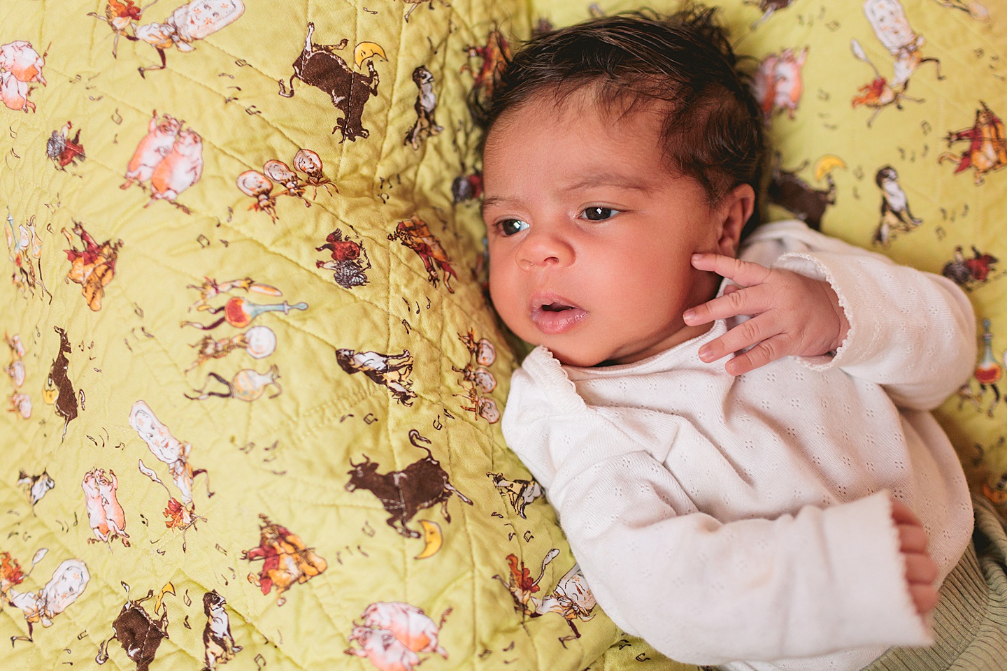 Family Photographer - Alex + Danielle // At-Home Family Photos