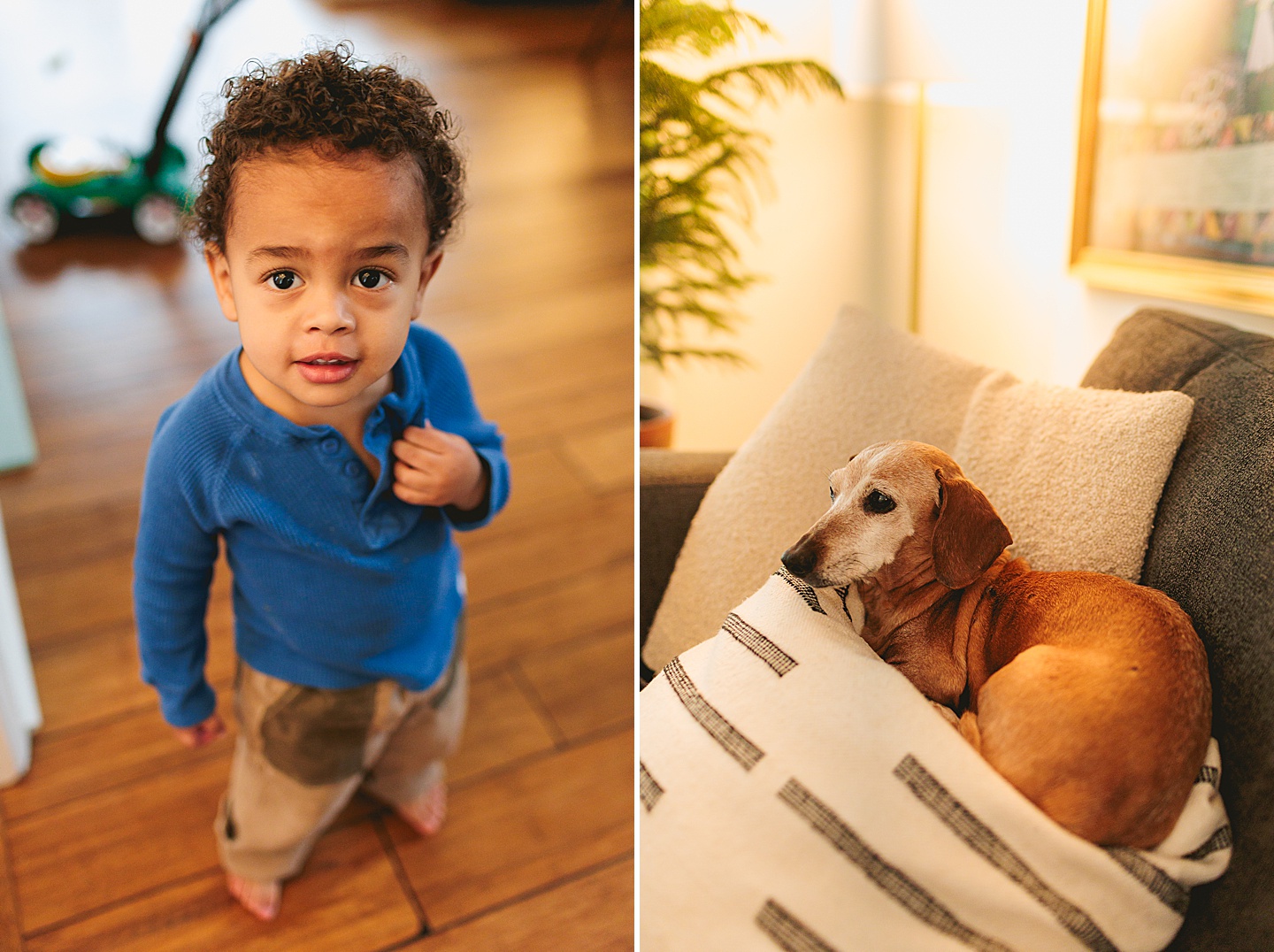 Family Photographer - Alex + Danielle // At-Home Family Photos