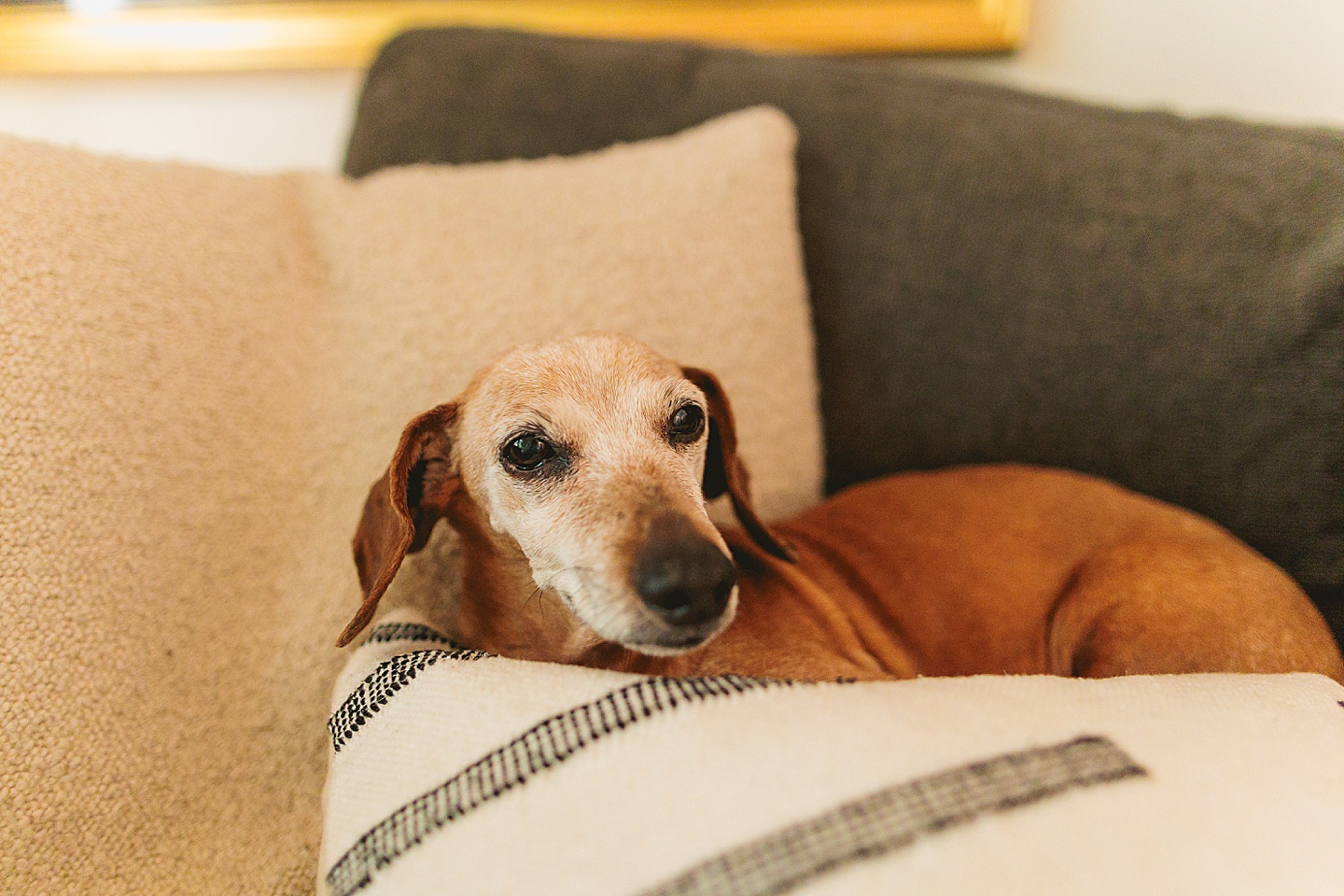 Family Photographer - Alex + Danielle // At-Home Family Photos