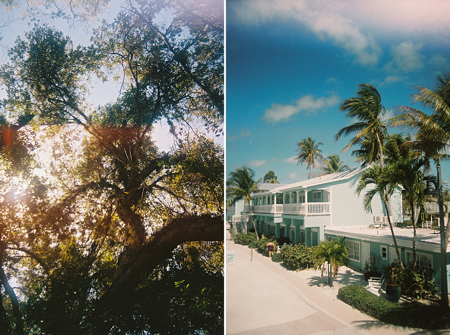 Branding Photographer - Florida Everglades & Keys
