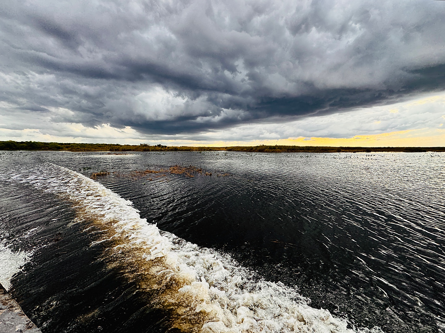 Branding Photographer - Florida Everglades & Keys