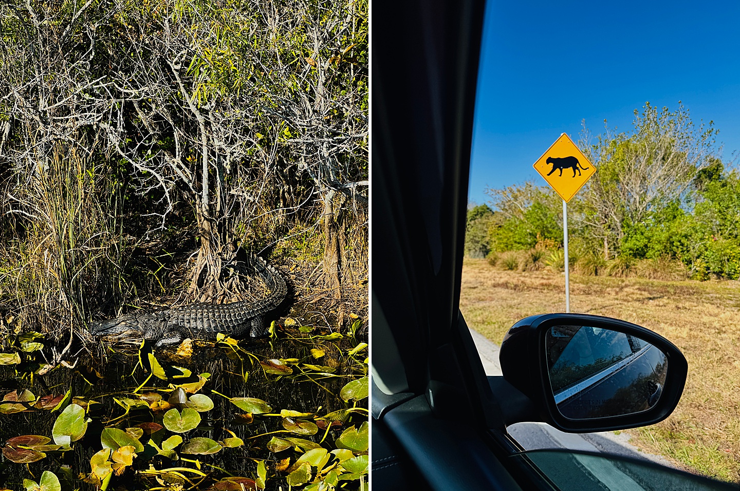 Branding Photographer - Florida Everglades & Keys