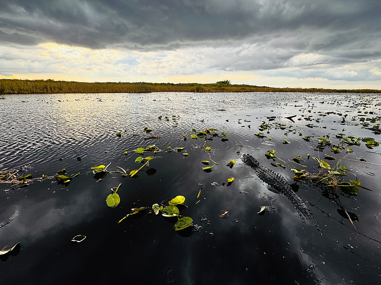Branding Photographer - Florida Everglades & Keys