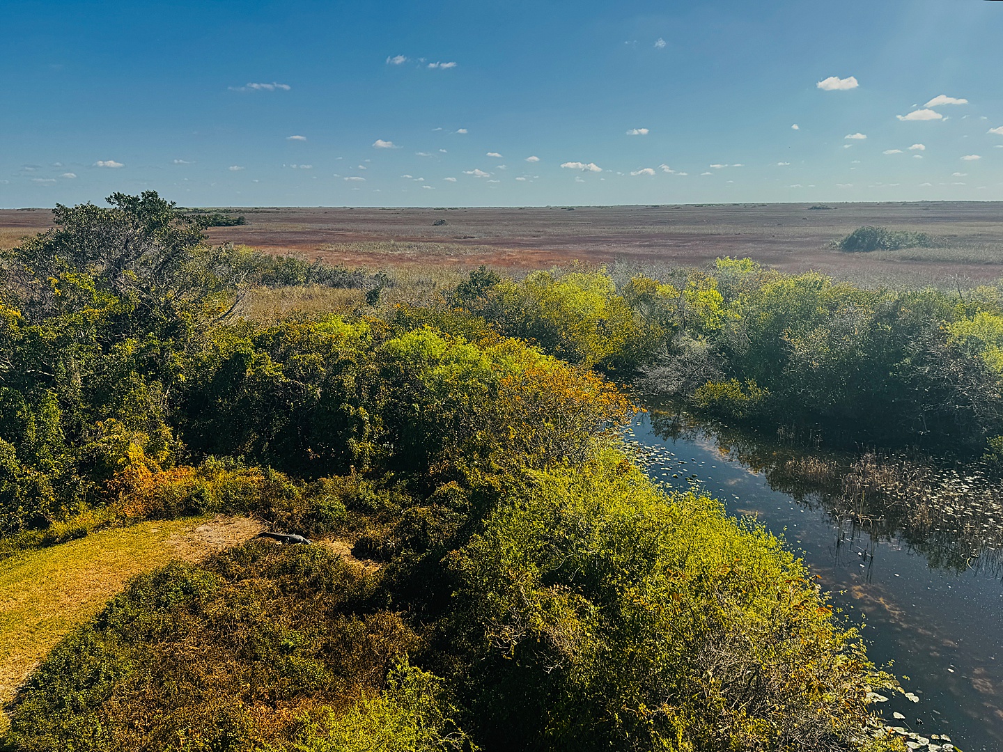 Branding Photographer - Florida Everglades & Keys