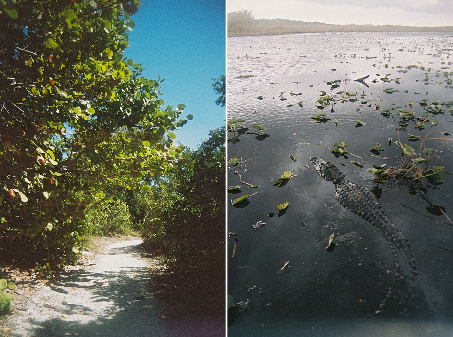 Branding Photographer - Florida Everglades & Keys