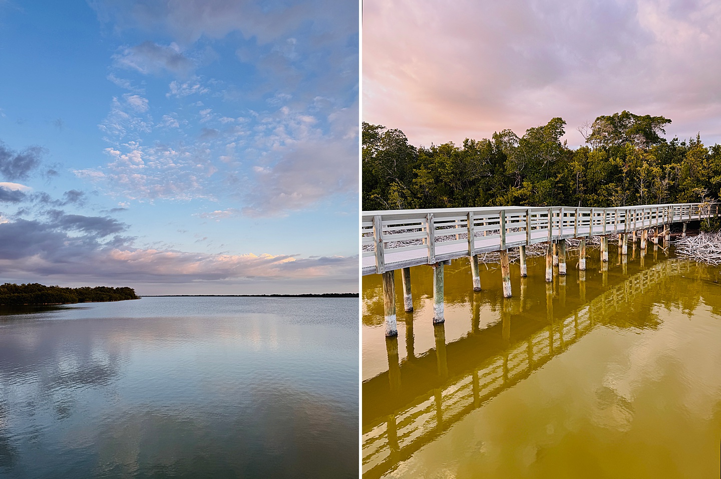Branding Photographer - Florida Everglades & Keys