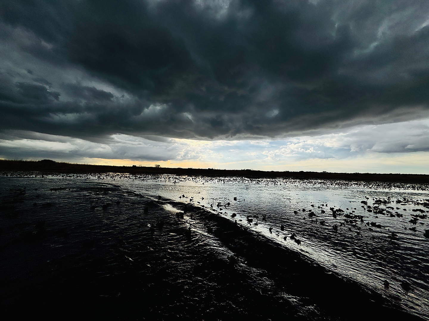 Branding Photographer - Florida Everglades & Keys