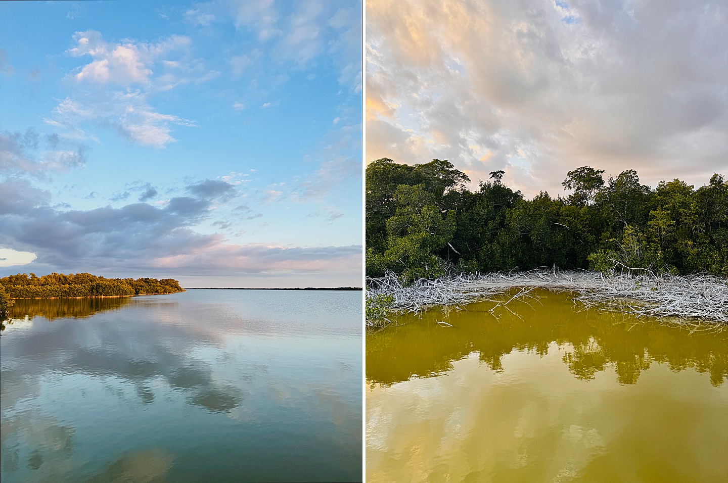 Branding Photographer - Florida Everglades & Keys