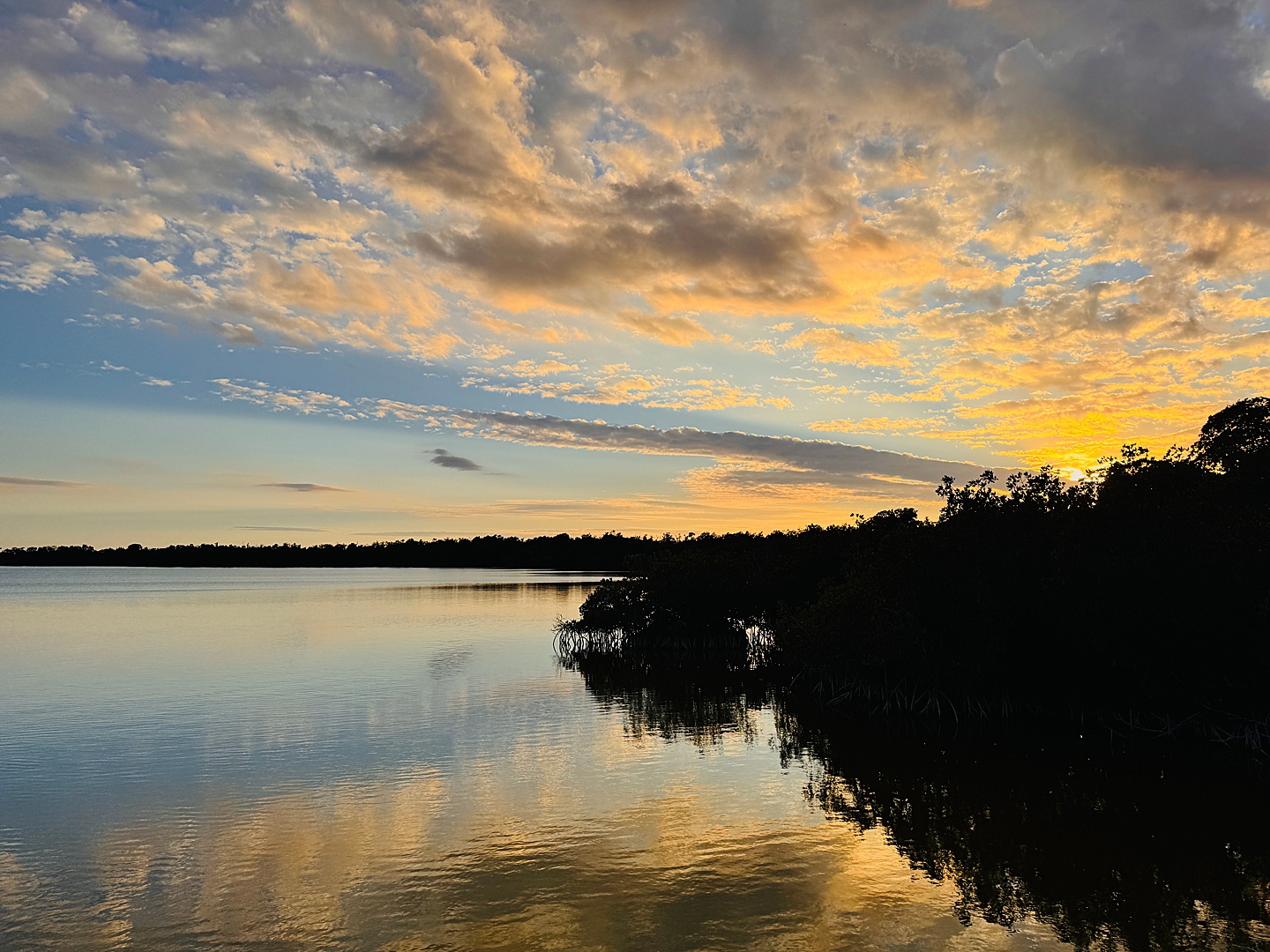 Branding Photographer - Florida Everglades & Keys