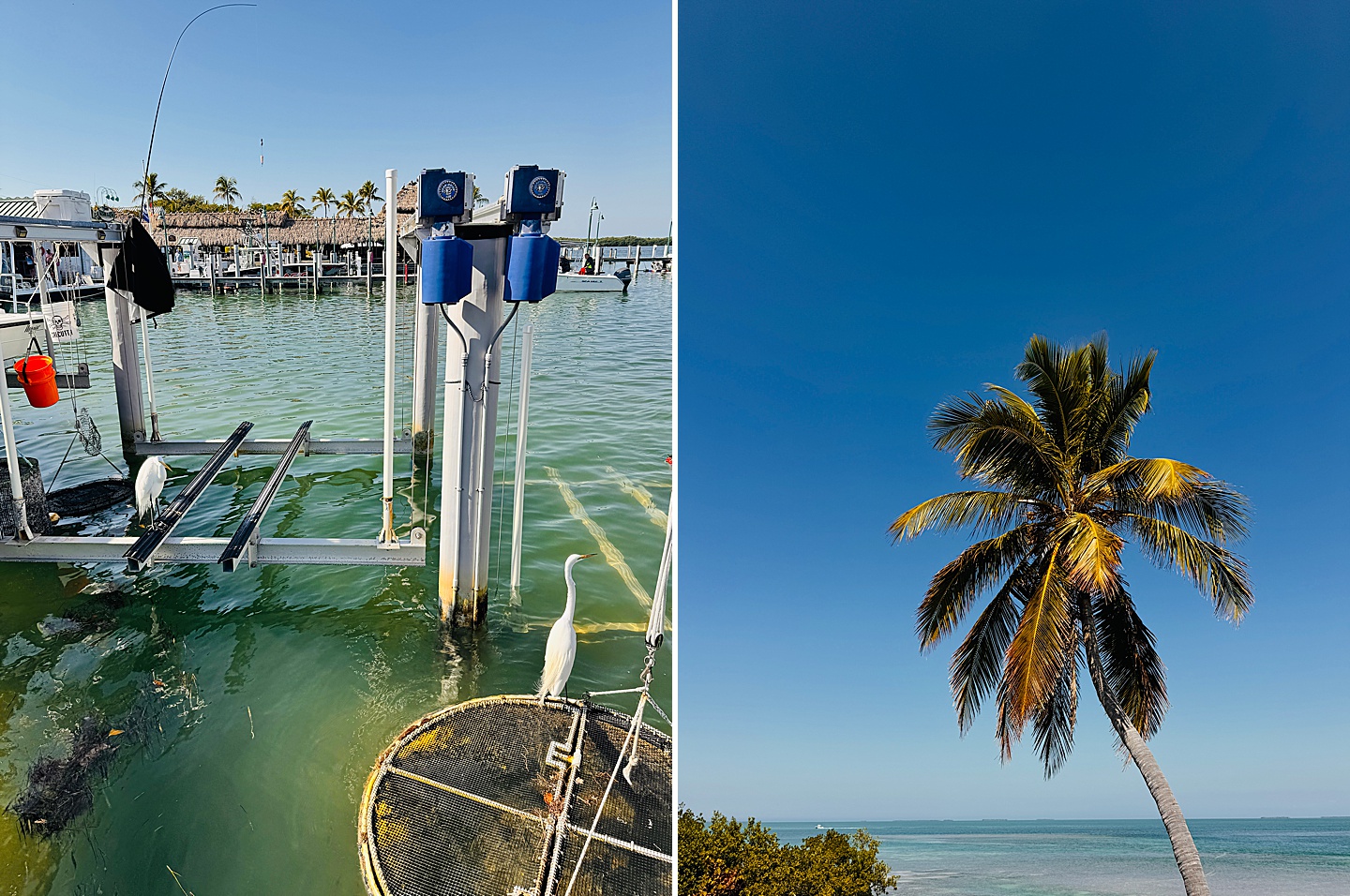 Branding Photographer - Florida Everglades & Keys