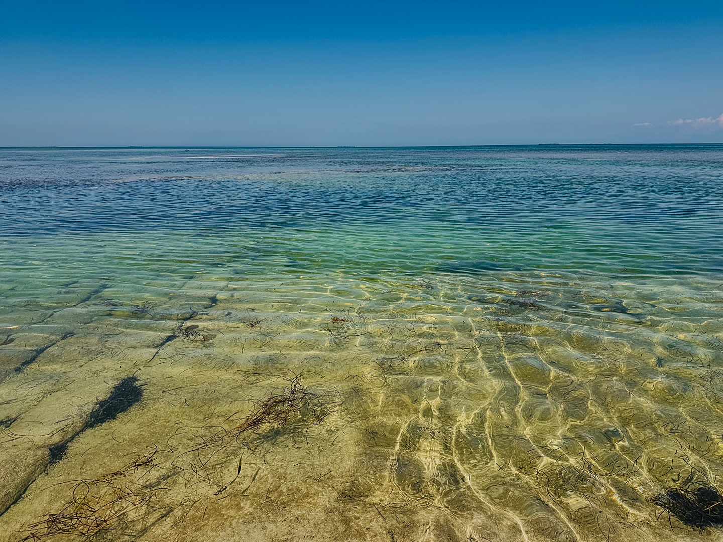 Branding Photographer - Florida Everglades & Keys