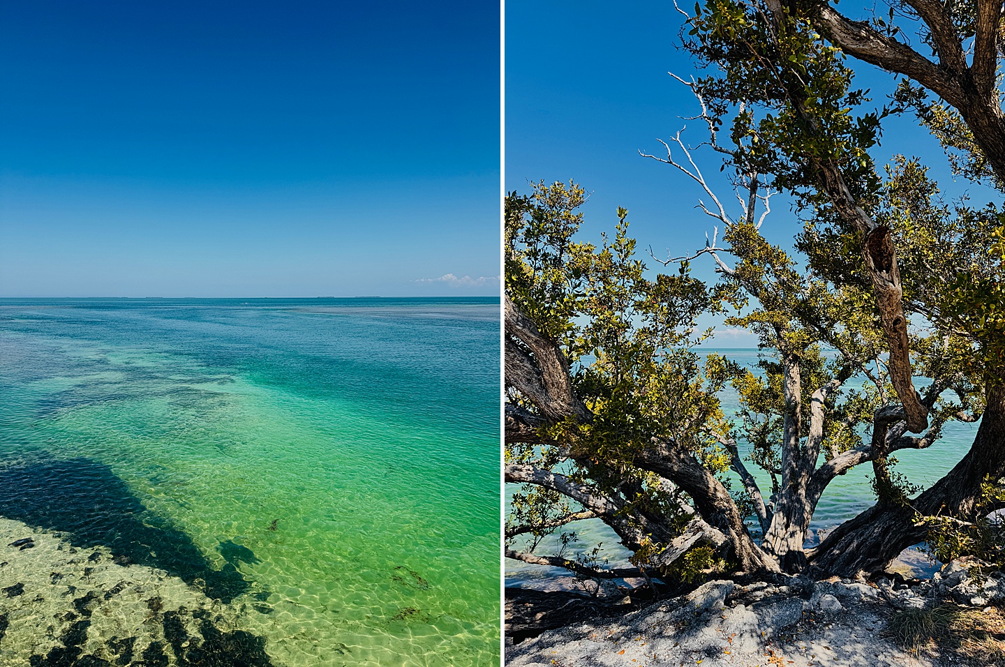 Branding Photographer - Florida Everglades & Keys