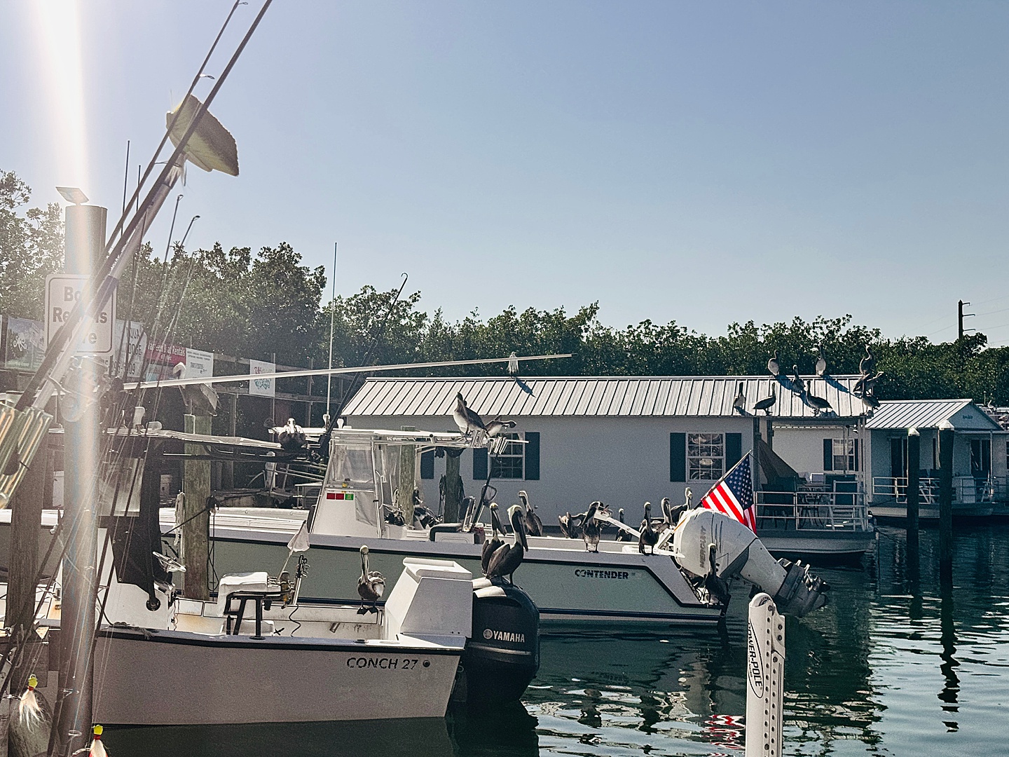 Branding Photographer - Florida Everglades & Keys