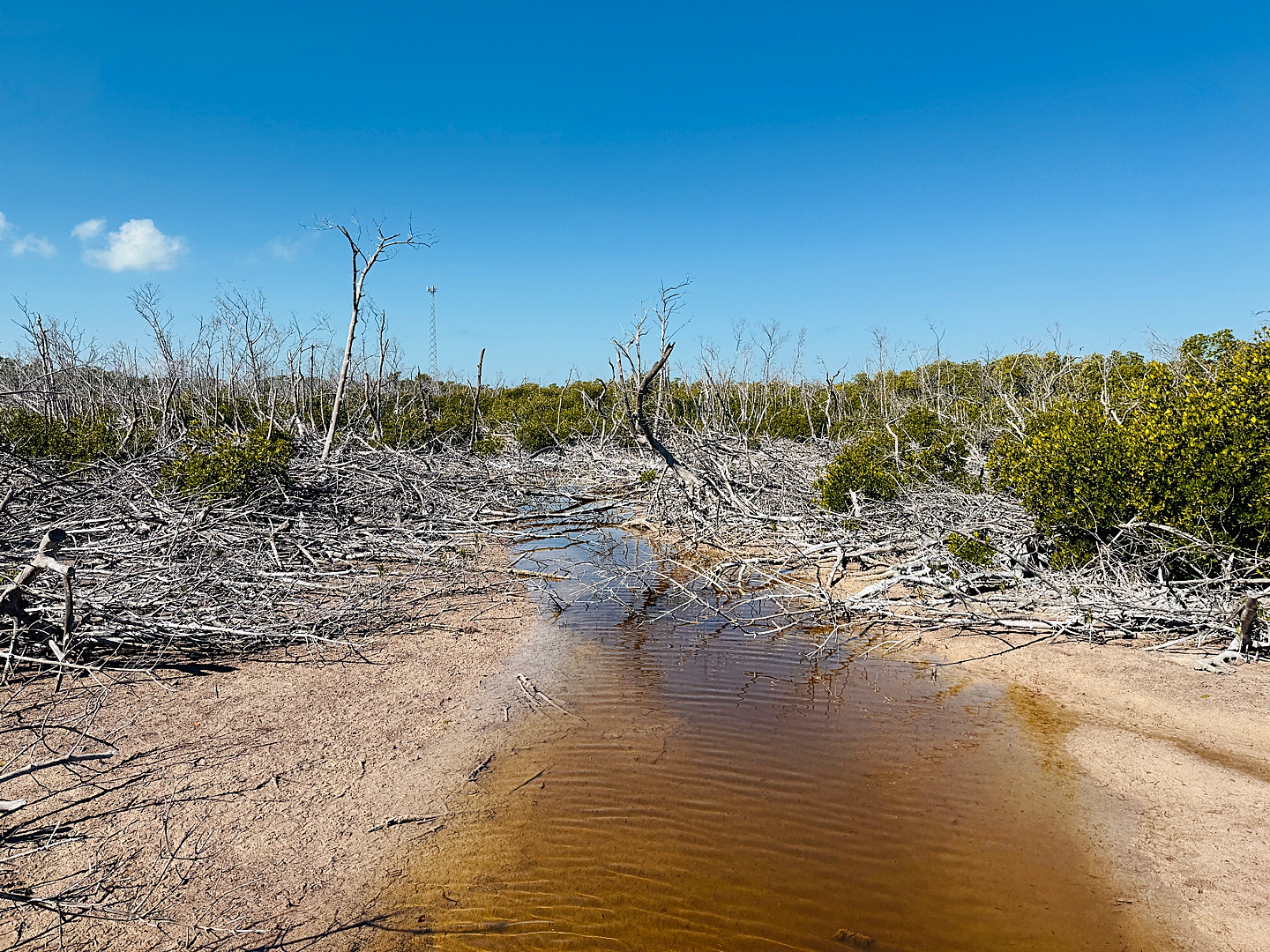 Branding Photographer - Florida Everglades & Keys
