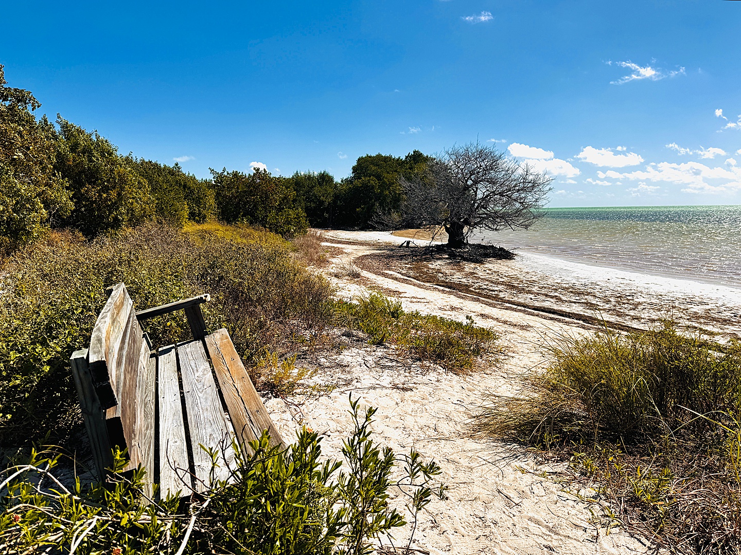 Branding Photographer - Florida Everglades & Keys