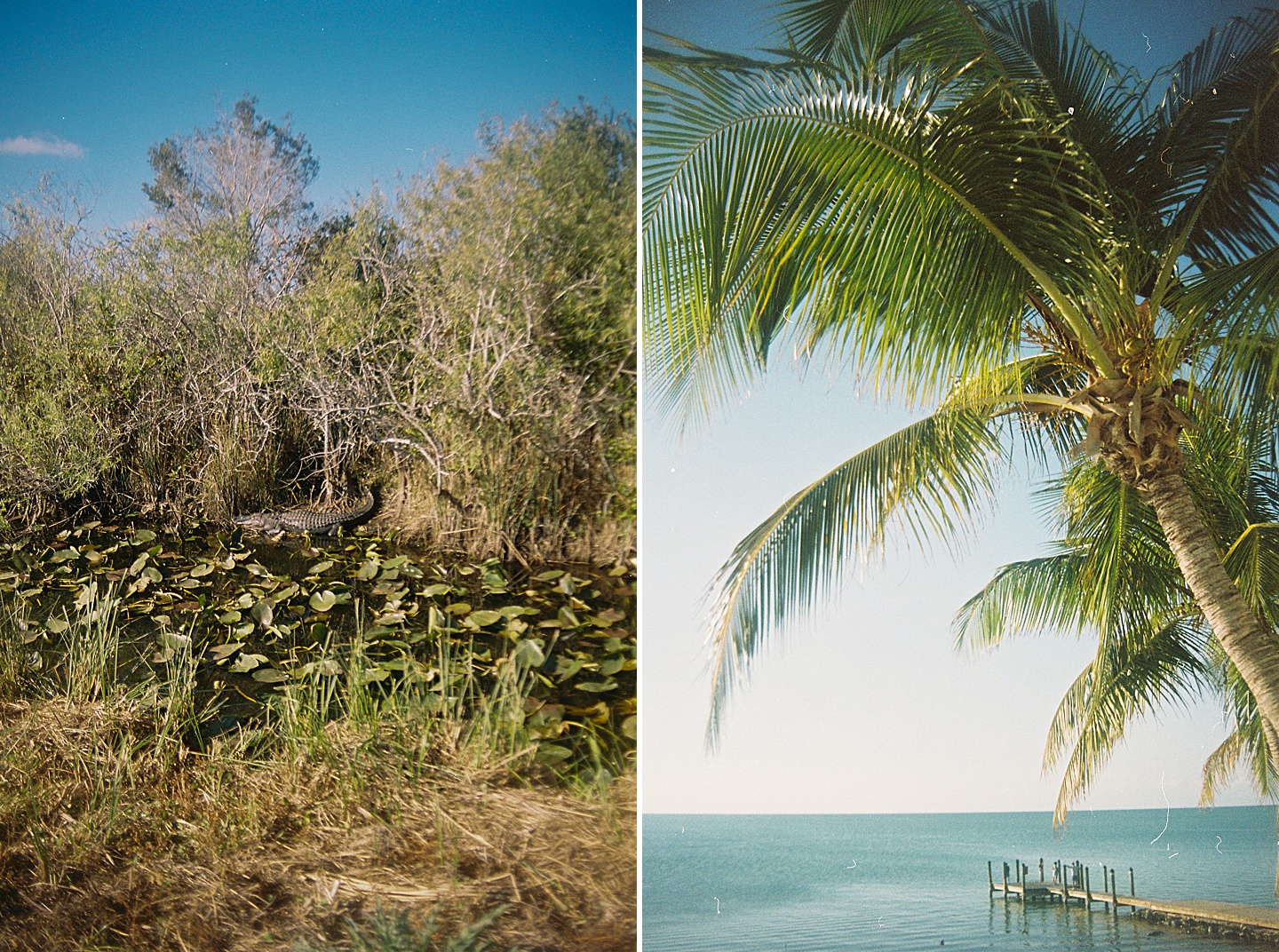 Branding Photographer - Florida Everglades & Keys