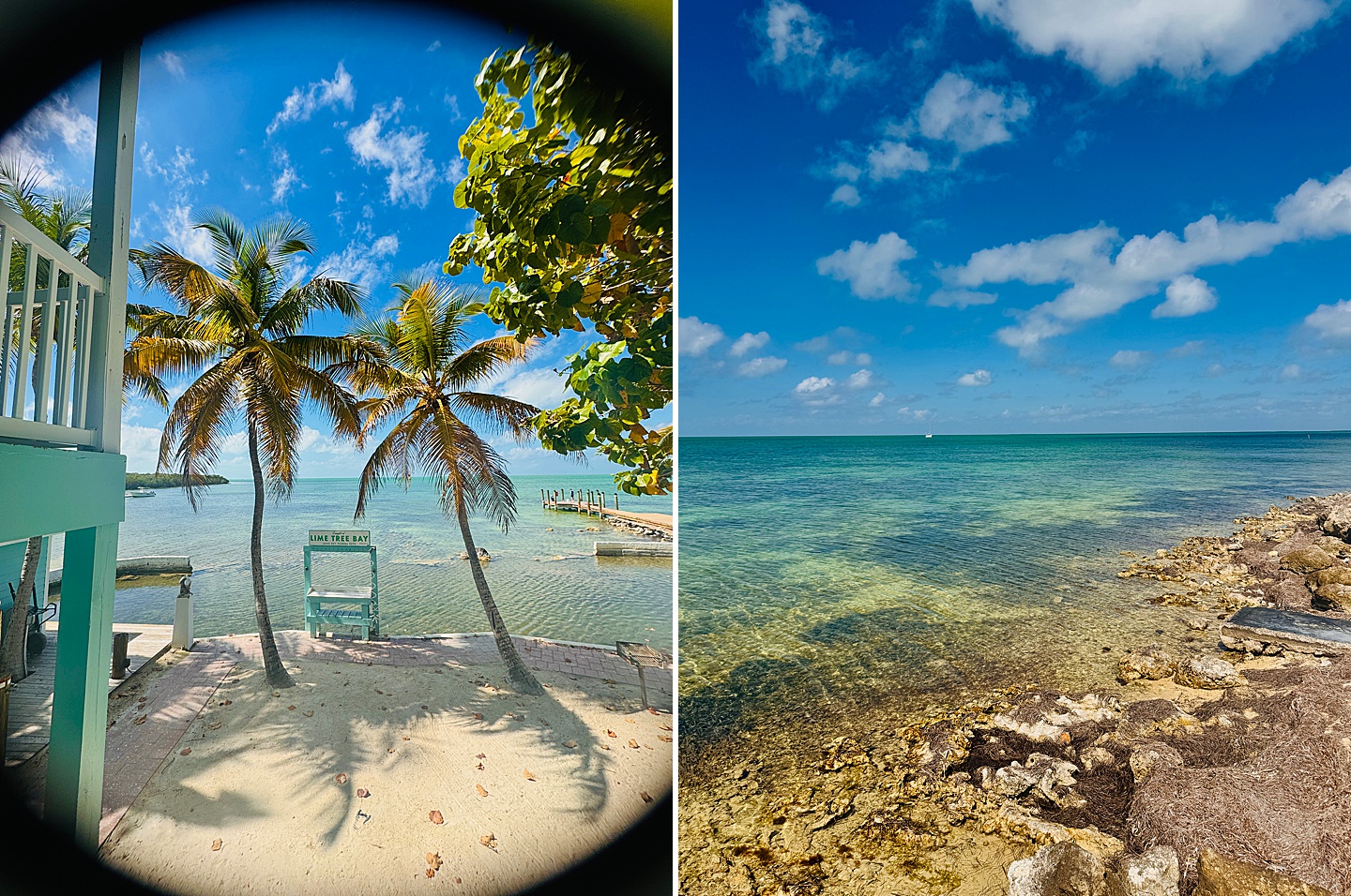 Branding Photographer - Florida Everglades & Keys