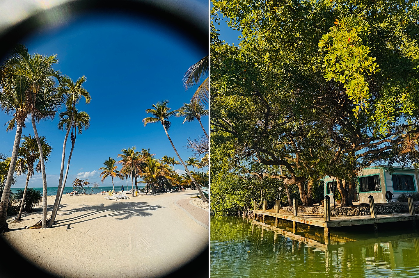 Branding Photographer - Florida Everglades & Keys