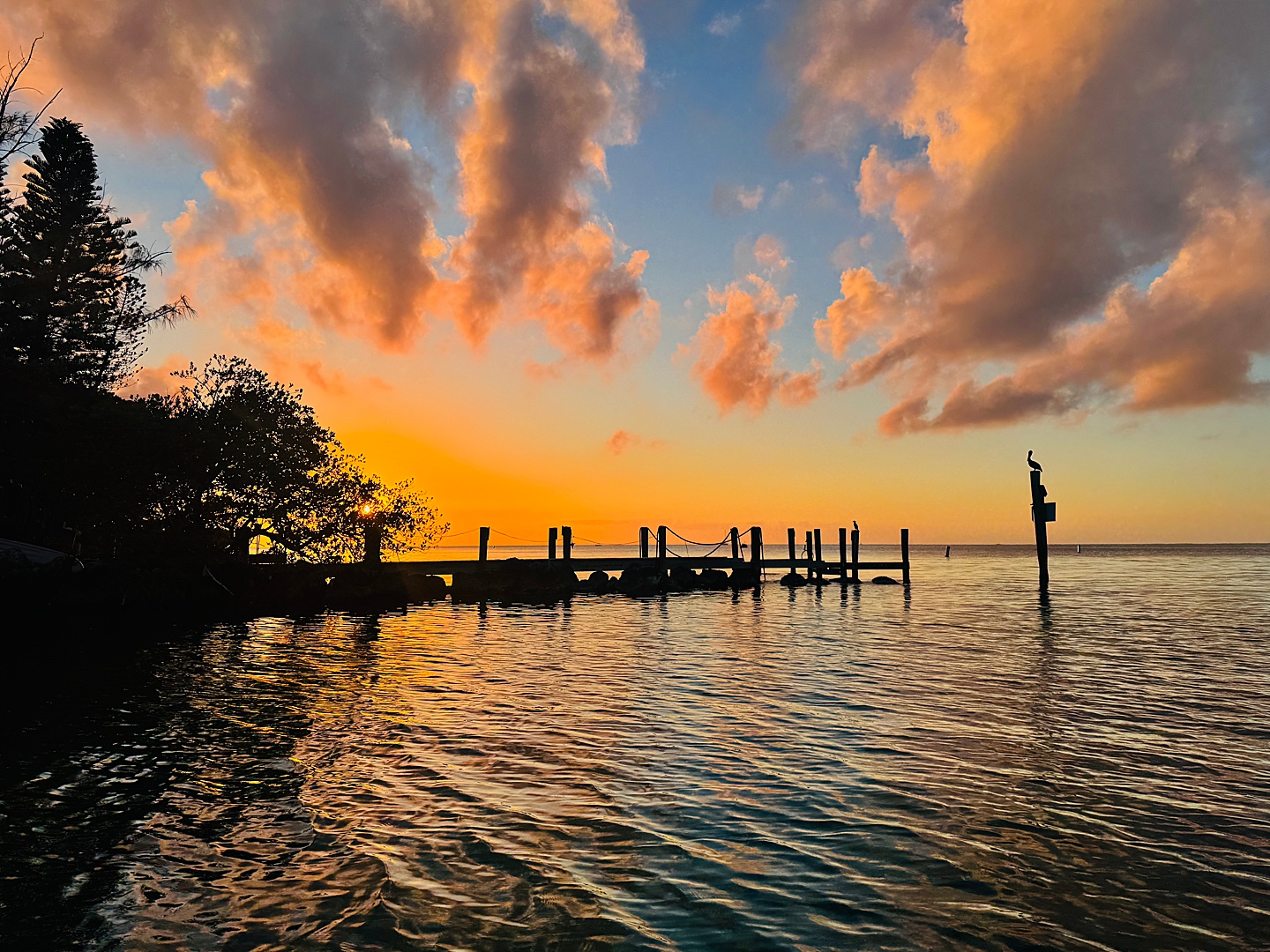 Branding Photographer - Florida Everglades & Keys