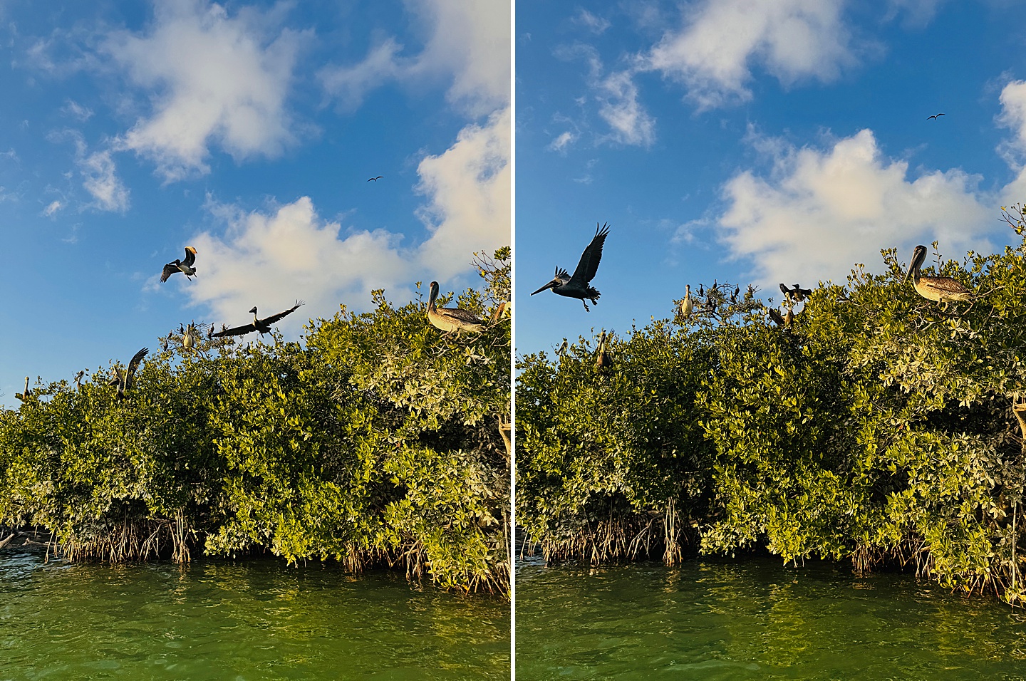 Branding Photographer - Florida Everglades & Keys