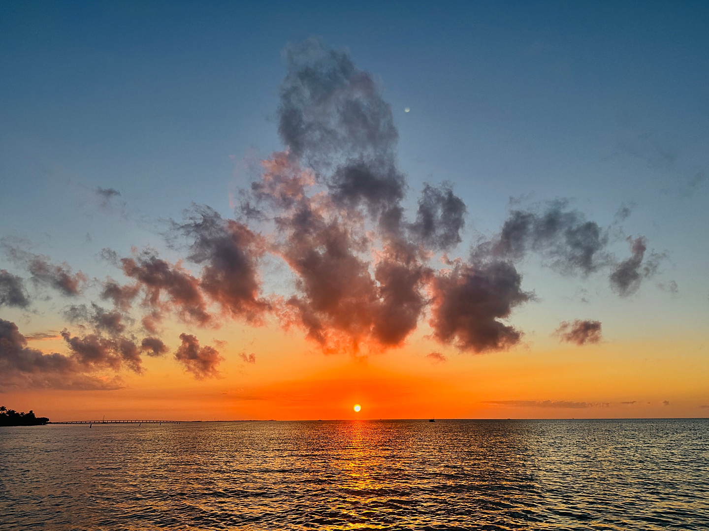 Branding Photographer - Florida Everglades & Keys