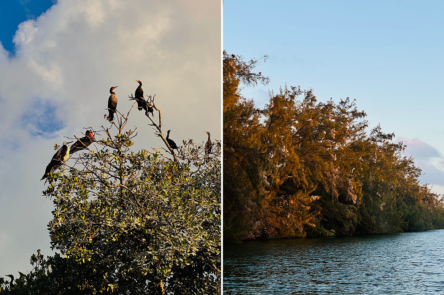 Branding Photographer - Florida Everglades & Keys