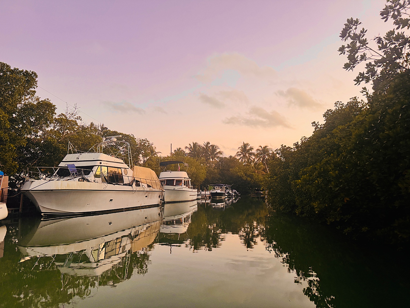 Branding Photographer - Florida Everglades & Keys