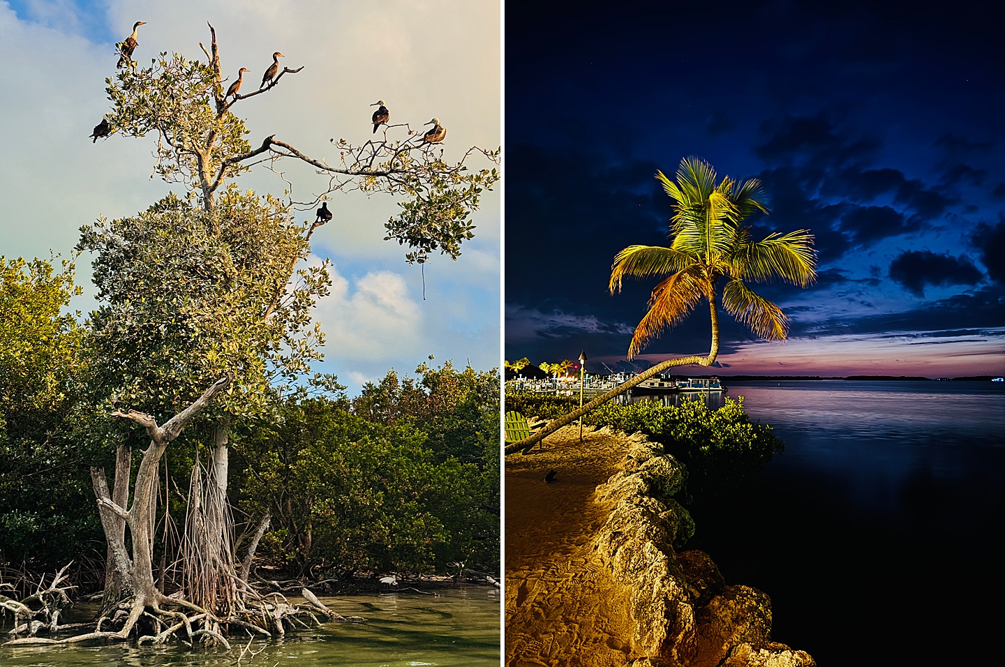 Branding Photographer - Florida Everglades & Keys
