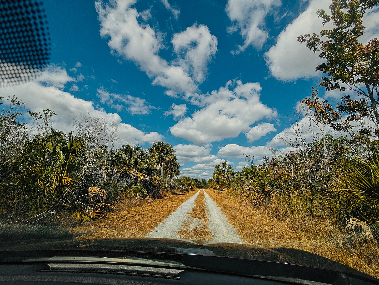 Branding Photographer - Florida Everglades & Keys