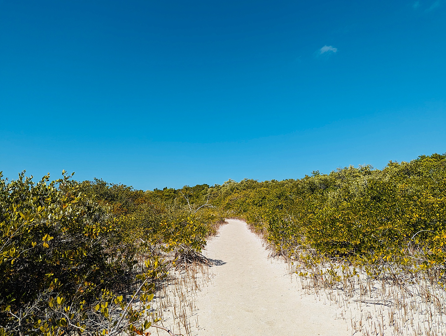 Branding Photographer - Florida Everglades & Keys