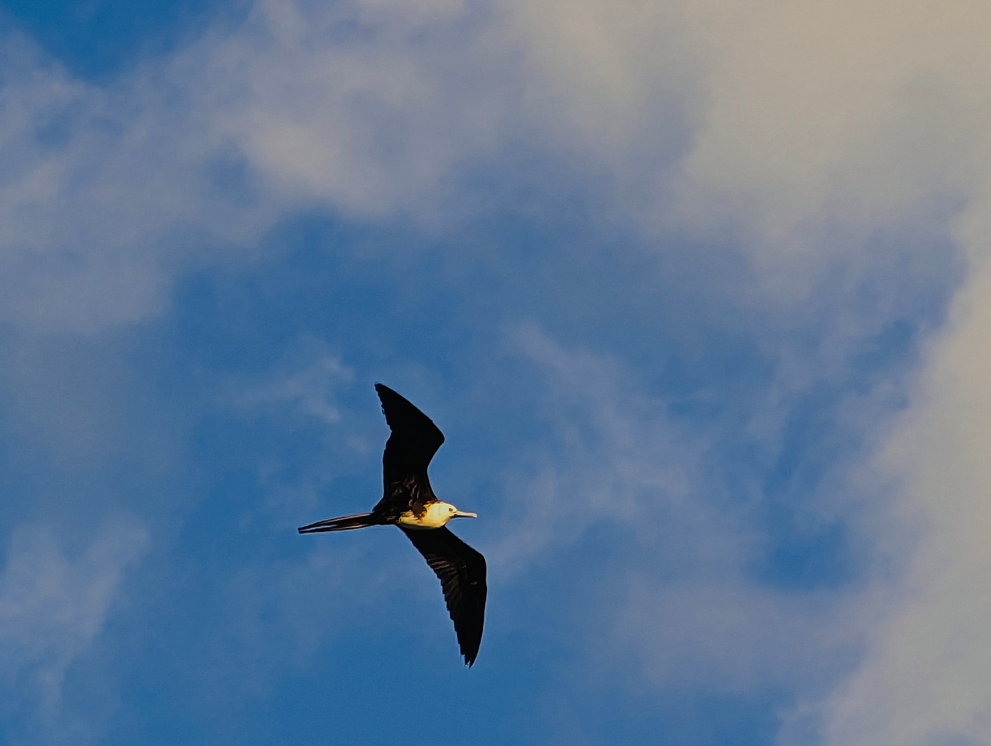 Branding Photographer - Florida Everglades & Keys