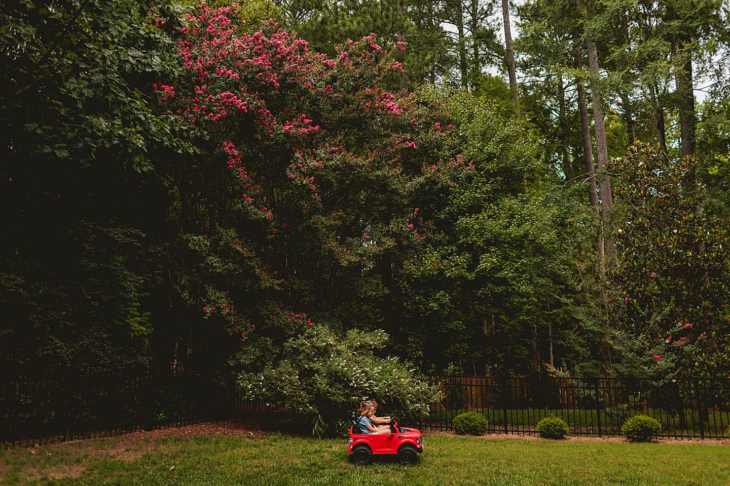 Family Photographer - Laurie + Dwight // Family Photographer in Raleigh
