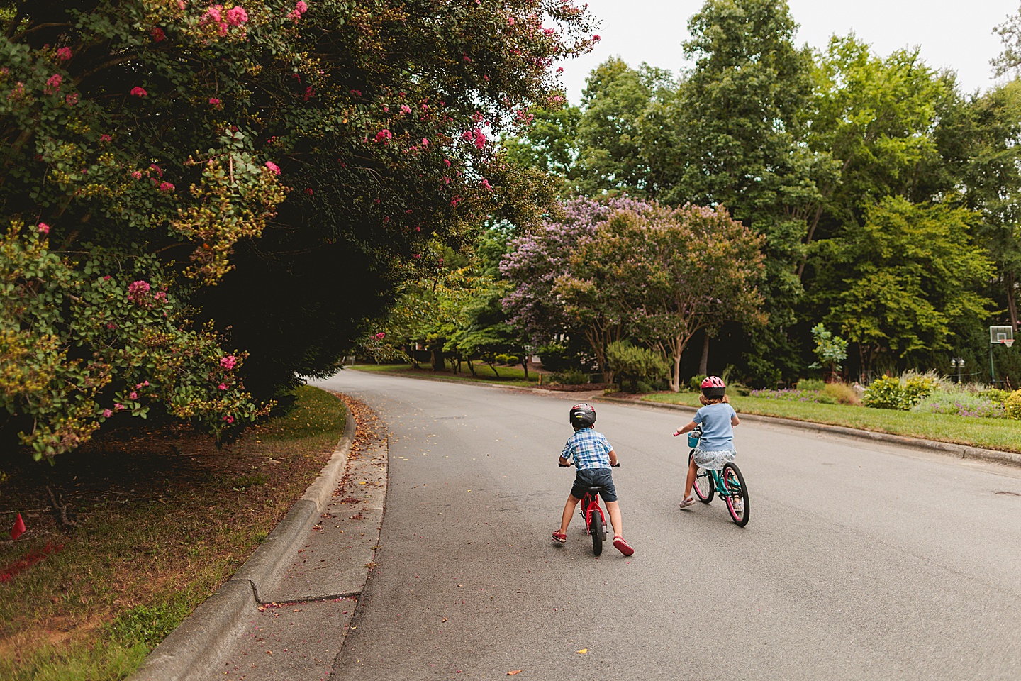 Family Photographer - Laurie + Dwight // Family Photographer in Raleigh