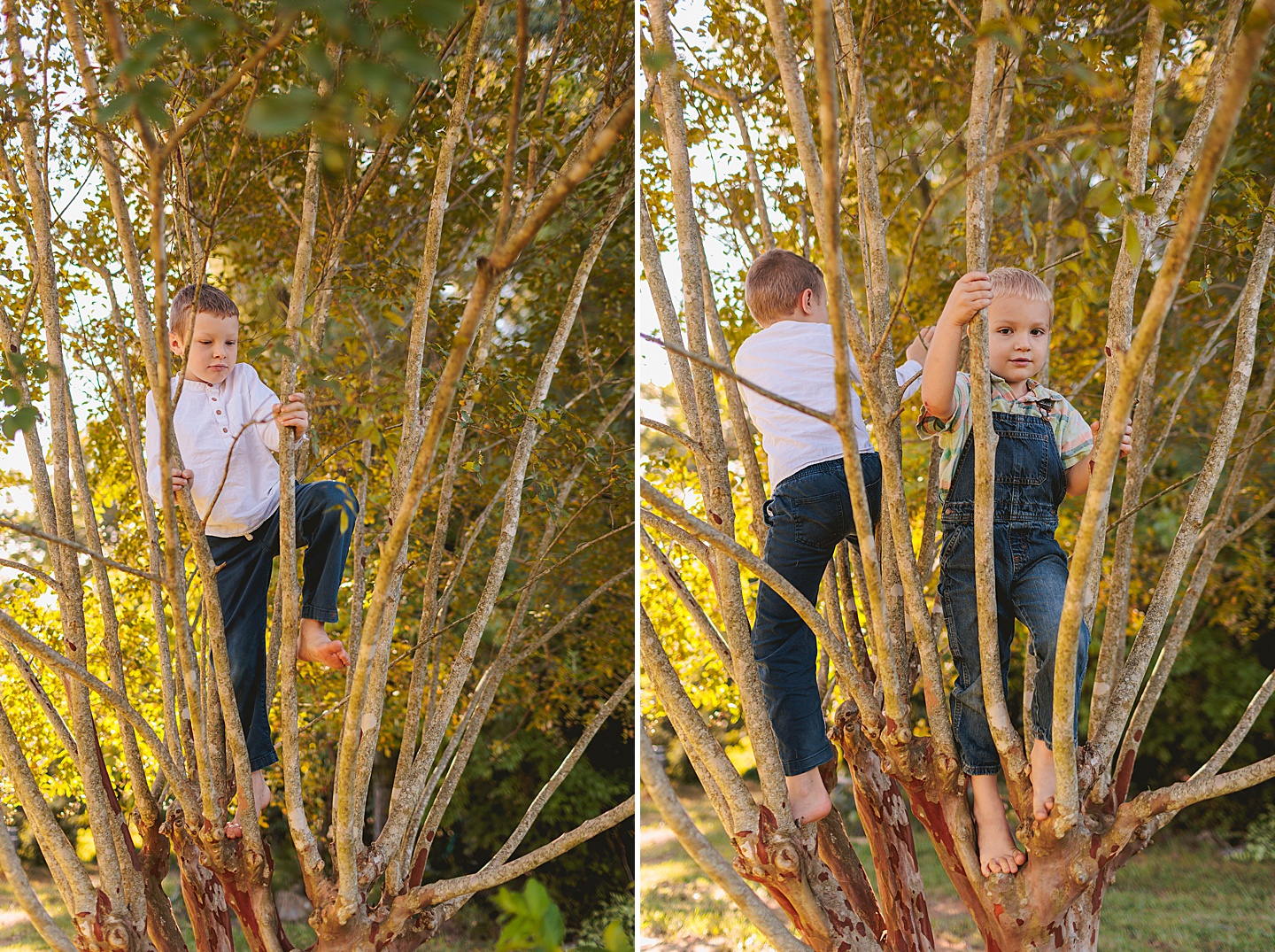 Family Photographer - Allison + Nathaniel // At Home Family Photo Session