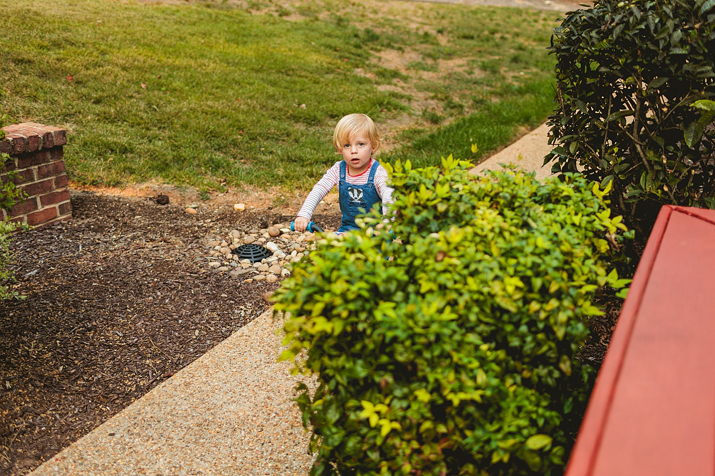 Family Photographer - Liz + Tommy // Durham Family Photographers