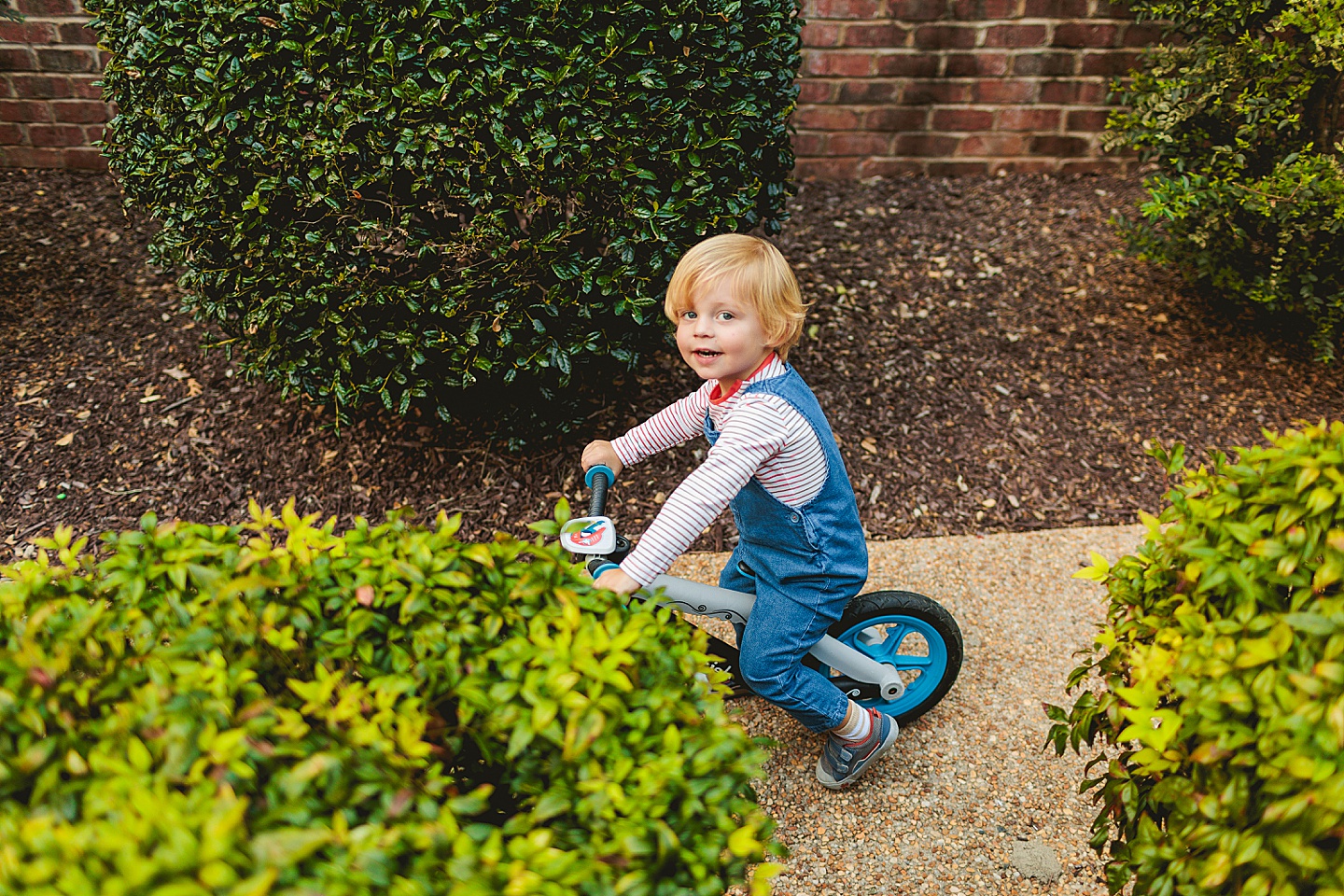 Family Photographer - Liz + Tommy // Durham Family Photographers