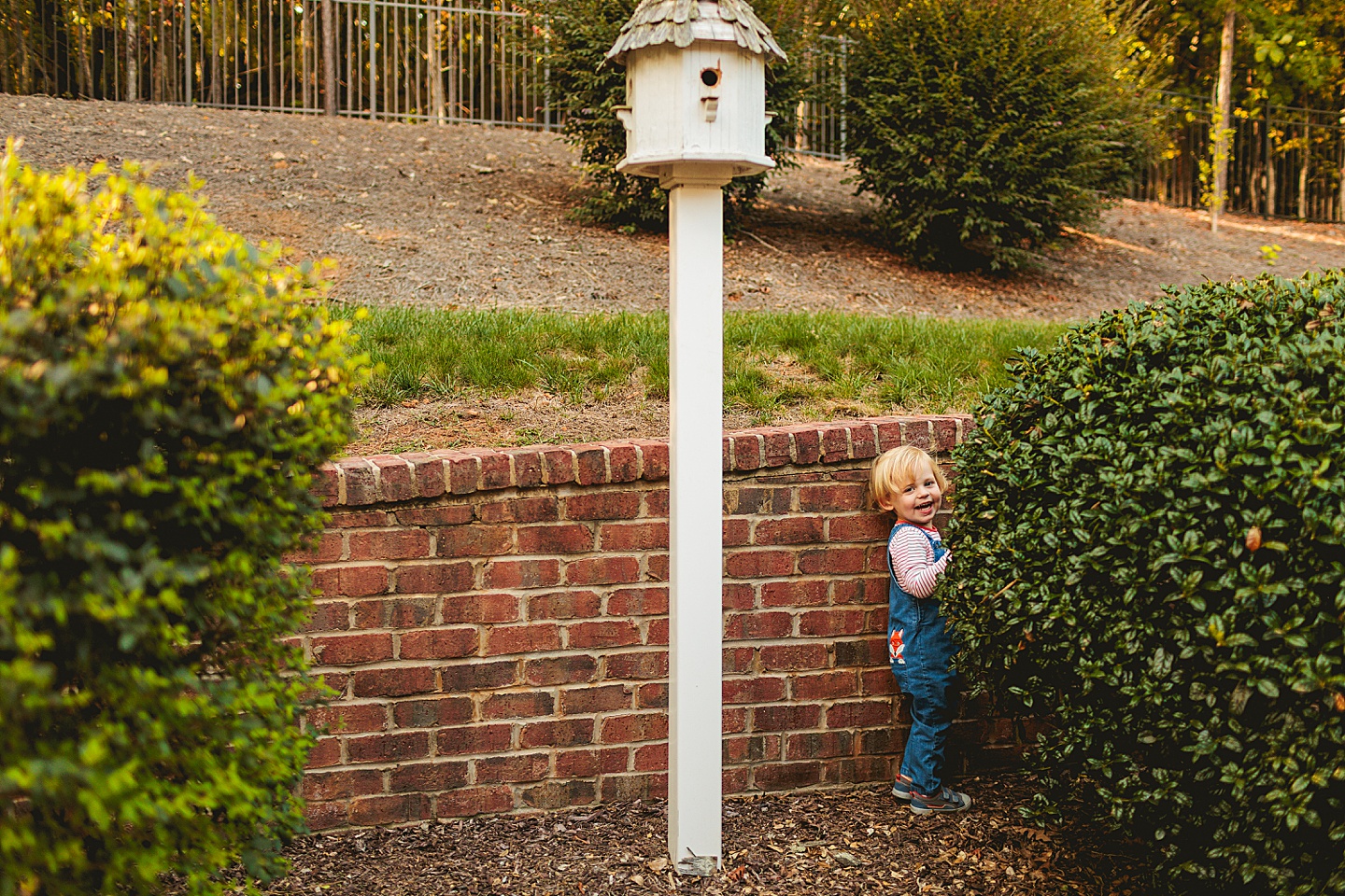 Family Photographer - Liz + Tommy // Durham Family Photographers