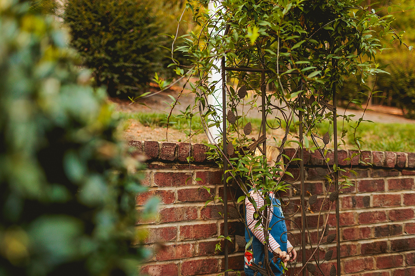 Family Photographer - Liz + Tommy // Durham Family Photographers