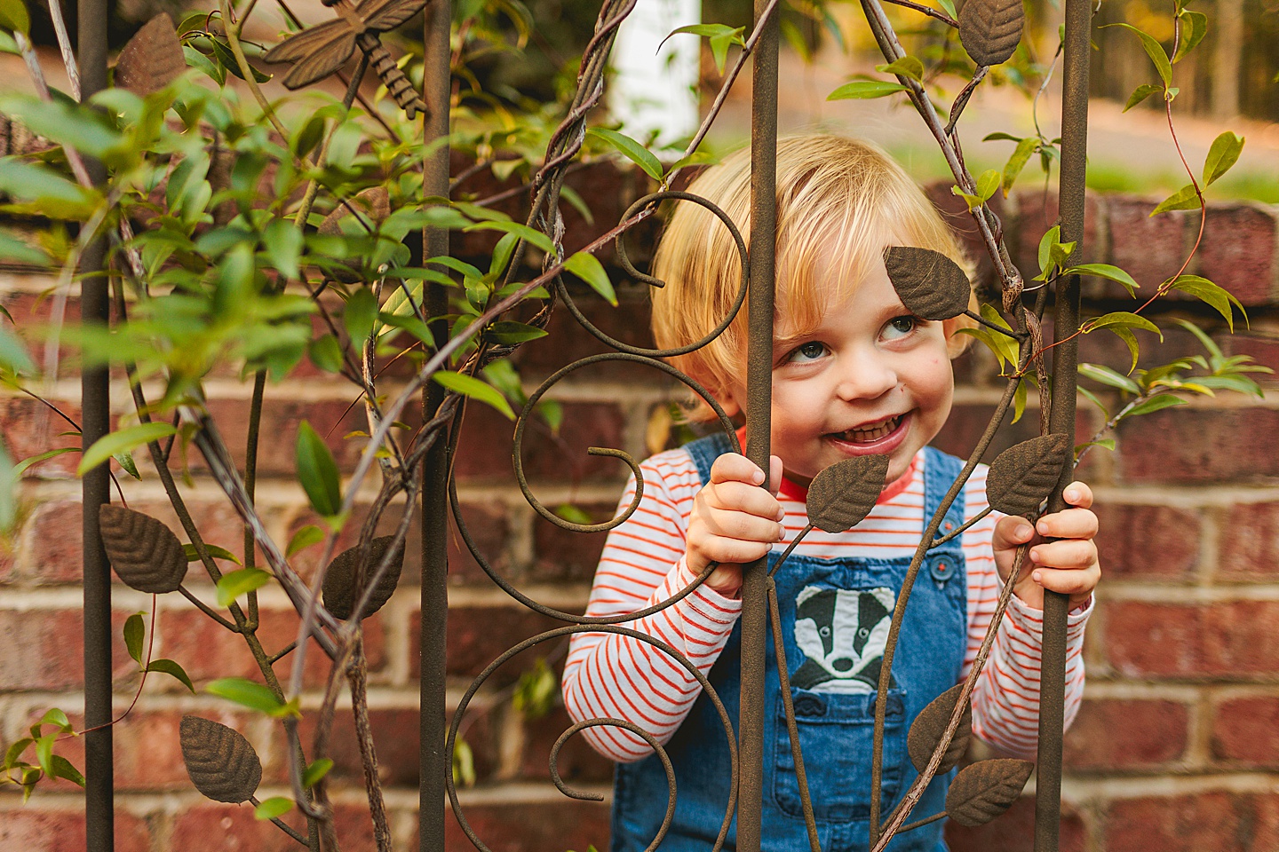 Family Photographer - Liz + Tommy // Durham Family Photographers
