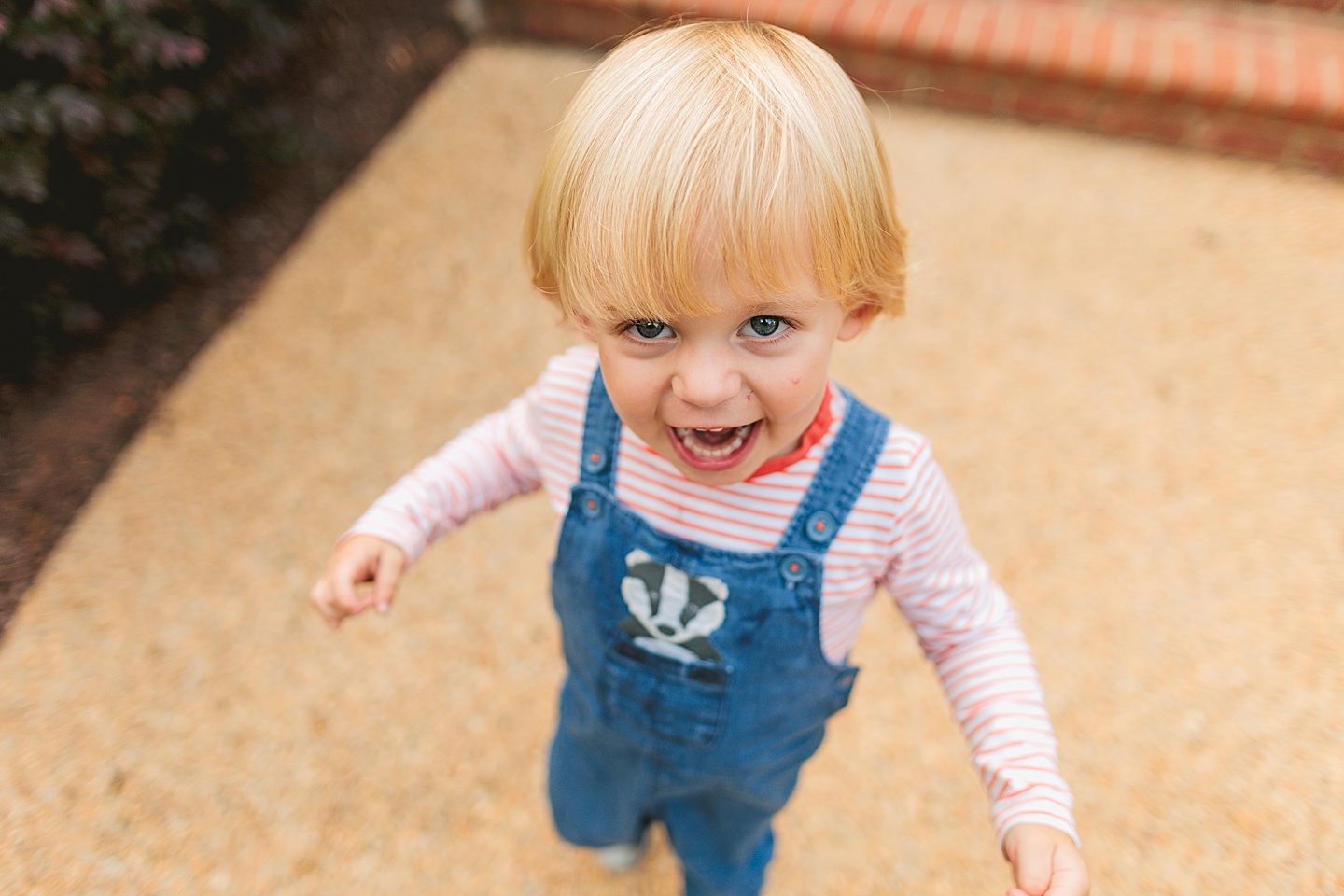 Family Photographer - Liz + Tommy // Durham Family Photographers